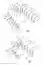 Fig. 02 - Apparatus for producing a knitted fabric with interspacing