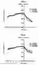 Fig. 04 - Method of designing an iron sole shape, and system for the same