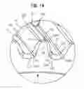 Fig. 15 - Gear