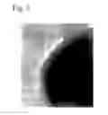 Fig. 04 - Fine composite metal particles and their production method, micro-bodies, and magnetic beads