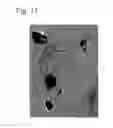 Fig. 12 - Fine composite metal particles and their production method, micro-bodies, and magnetic beads