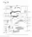 Fig. 15 - Fine composite metal particles and their production method, micro-bodies, and magnetic beads