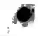 Fig. 19 - Fine composite metal particles and their production method, micro-bodies, and magnetic beads