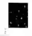 Fig. 26 - Fine composite metal particles and their production method, micro-bodies, and magnetic beads