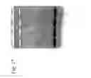 Fig. 28 - Fine composite metal particles and their production method, micro-bodies, and magnetic beads