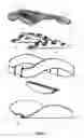 Fig. 05 - Stringed musical instrument having harmonic bridge