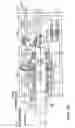Fig. 21 - PISTON ASSEMBLY