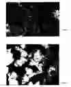 Fig. 05 - Geopolymeric particles, fibers, shaped articles and methods of manufacture