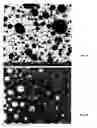 Fig. 06 - Geopolymeric particles, fibers, shaped articles and methods of manufacture