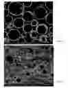 Fig. 07 - Geopolymeric particles, fibers, shaped articles and methods of manufacture