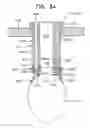 Fig. 29 - Automated egg injection machine and method