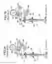 Fig. 08 - Engine valve operating system