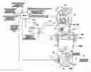 Fig. 01 - Variable valve actuation system of internal combustion engine