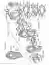 Fig. 08 - Portable drag compressor powered mechanical ventilator