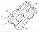 Fig. 01 - Snap on multiple section hair beads