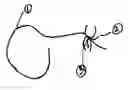 Fig. 01 - Tufted multifloss dental article