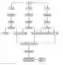Fig. 01 - Process for manufacture of oriented strand lumber products