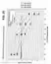 Fig. 18 - Apparatus and method for degrading a web in the machine direction while preserving cross-machine direction strength