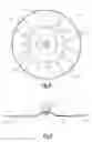 Fig. 05 - Safety device for a fall restraint