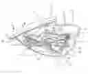 Fig. 01 - Device for movable support of an input/output unit