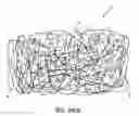 Fig. 01 - Bacteria growth device, assembly including the same and method associated thereto