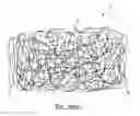 Fig. 01 - Bacteria growth device, assembly including the same and method associated thereto