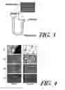 Fig. 03 - Fluid separation
