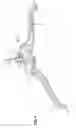 Fig. 02 - Top sizer clip for garment hanger