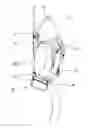 Fig. 01 - Holster for packs