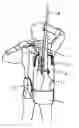 Fig. 01 - Backpack for carrying weapons