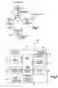 Fig. 02 - System for identifying an individual in an electronic transaction