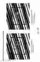 Fig. 93 - Digital-imaging code symbol reading system supporting automatic programming of system parameters for automatic configuration of said system in hands-on and hands-free modes of operation