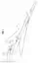 Fig. 02 - SUPERSONIC AIRCRAFT WITH SPIKE FOR CONTROLLING AND REDUCING SONIC BOOM