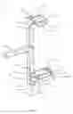 Fig. 03 - Adjustable height scaffold combination