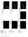 Fig. 06 - High-sensitivity infrared color camera