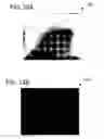 Fig. 13 - Remote triggered X-ray image capture device