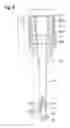 Fig. 04 - Capacity control valve
