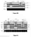 Fig. 14 - Coupled quantum well devices (CQWD) containing two or more direct selective contacts and methods of making same