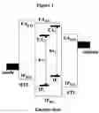 Fig. 03 - Organic electronic device having dual emitter dopants