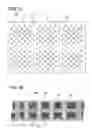 Fig. 07 - Capacitor to be incorporated in wiring substrate, method for manufacturing the capacitor, and wiring substrate