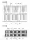 Fig. 08 - Capacitor to be incorporated in wiring substrate, method for manufacturing the capacitor, and wiring substrate