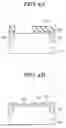 Fig. 04 - FLASH MEMORY CELL INCLUDING DUAL TUNNEL OXIDE LAYER AND METHOD OF MANUFACTURING THE SAME
