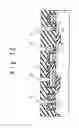 Fig. 13 - Semiconductor memory device and method of manufacturing the same