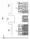 Fig. 02 - Spin polarization amplifying transistor