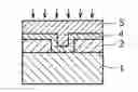 Fig. 01 - Metal thin film for interconnection of semiconductor device