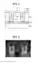 Fig. 02 - Semiconductor device and method for manufacturing the same