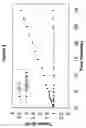 Fig. 05 - Process for crosslinking free-radical crosslinkable polymers