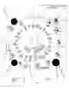 Fig. 31 - Star Power