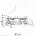 Fig. 06 - Cushion for in-line skate