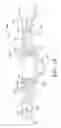 Fig. 19 - Integral arm axle/suspension system